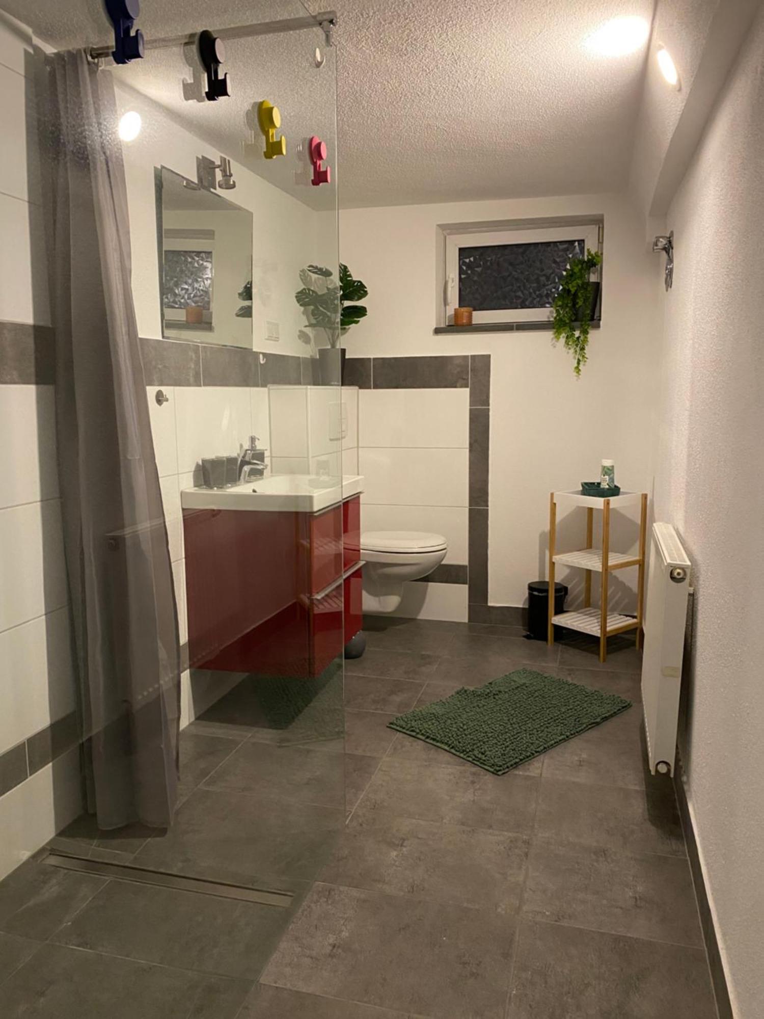 Apartment Roomy Comfort - Zwischen Heidelberg Und Mannheim 에딘겐넥카르하우젠 외부 사진