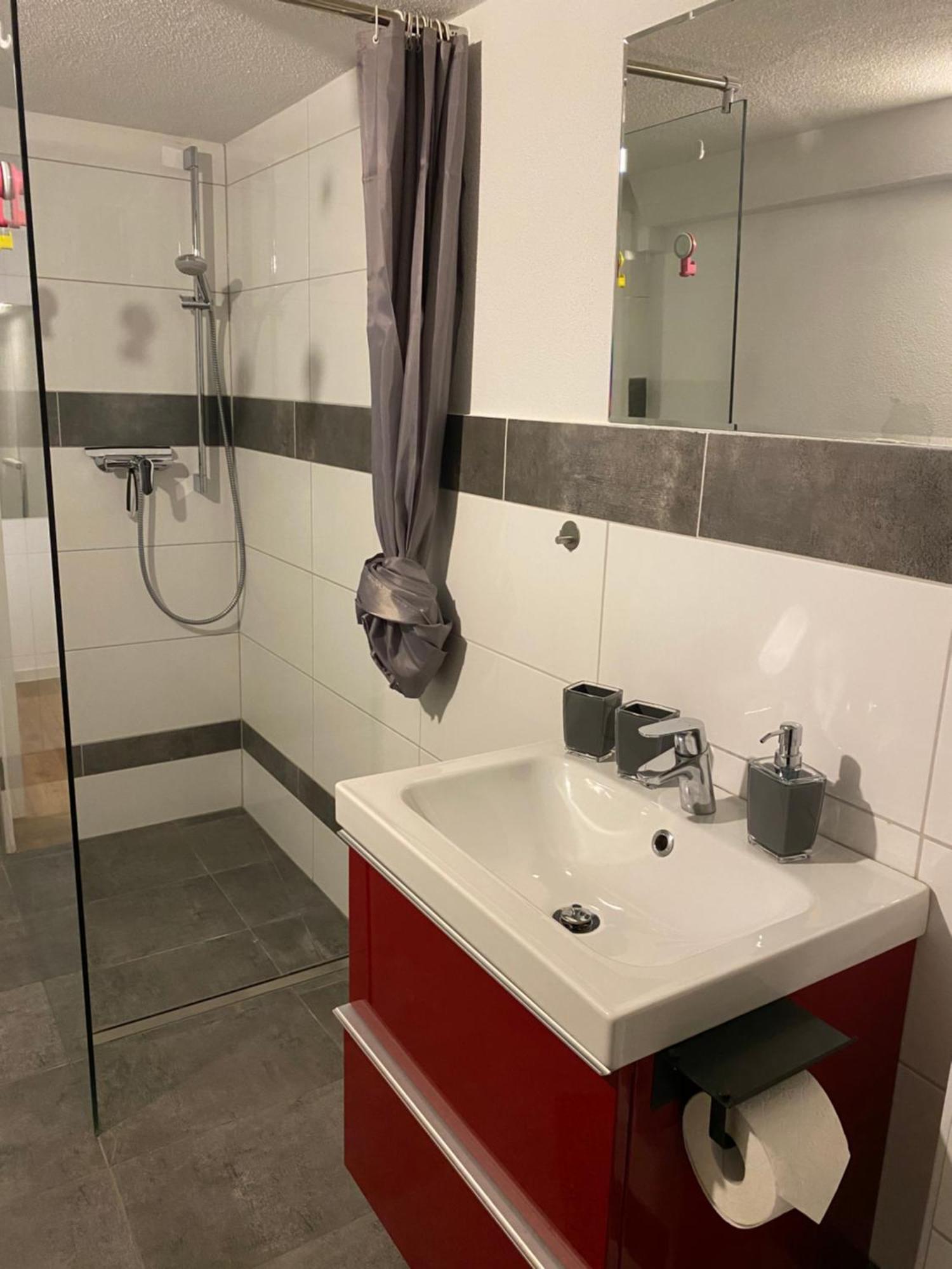 Apartment Roomy Comfort - Zwischen Heidelberg Und Mannheim 에딘겐넥카르하우젠 외부 사진