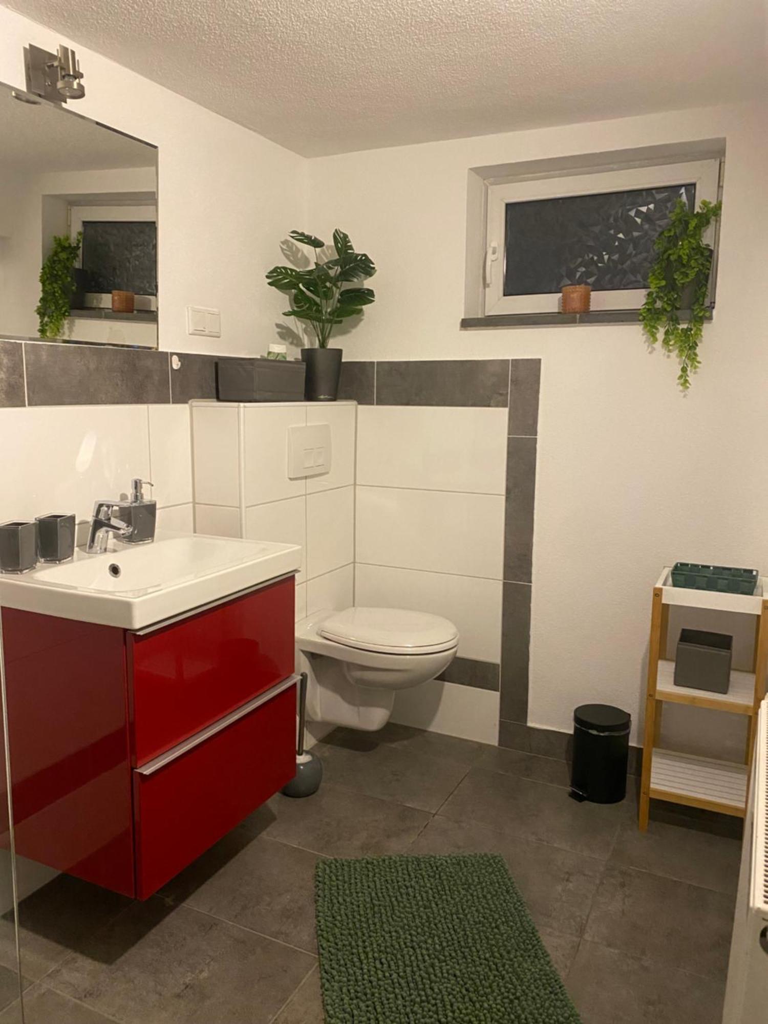 Apartment Roomy Comfort - Zwischen Heidelberg Und Mannheim 에딘겐넥카르하우젠 외부 사진