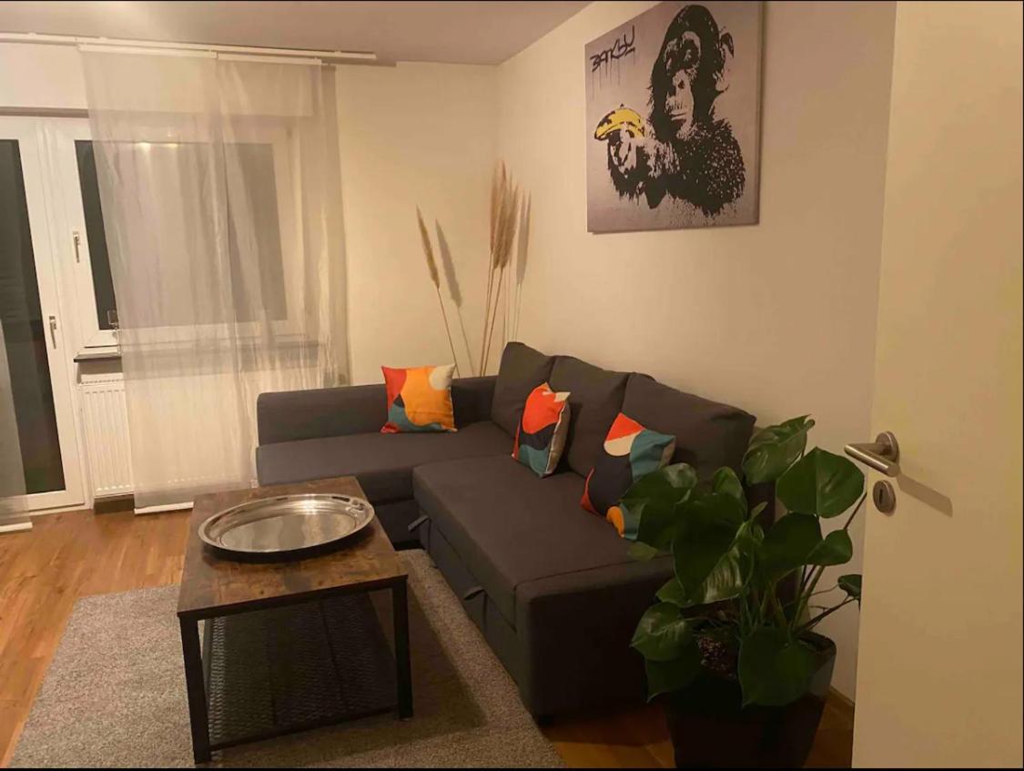 Apartment Roomy Comfort - Zwischen Heidelberg Und Mannheim 에딘겐넥카르하우젠 외부 사진