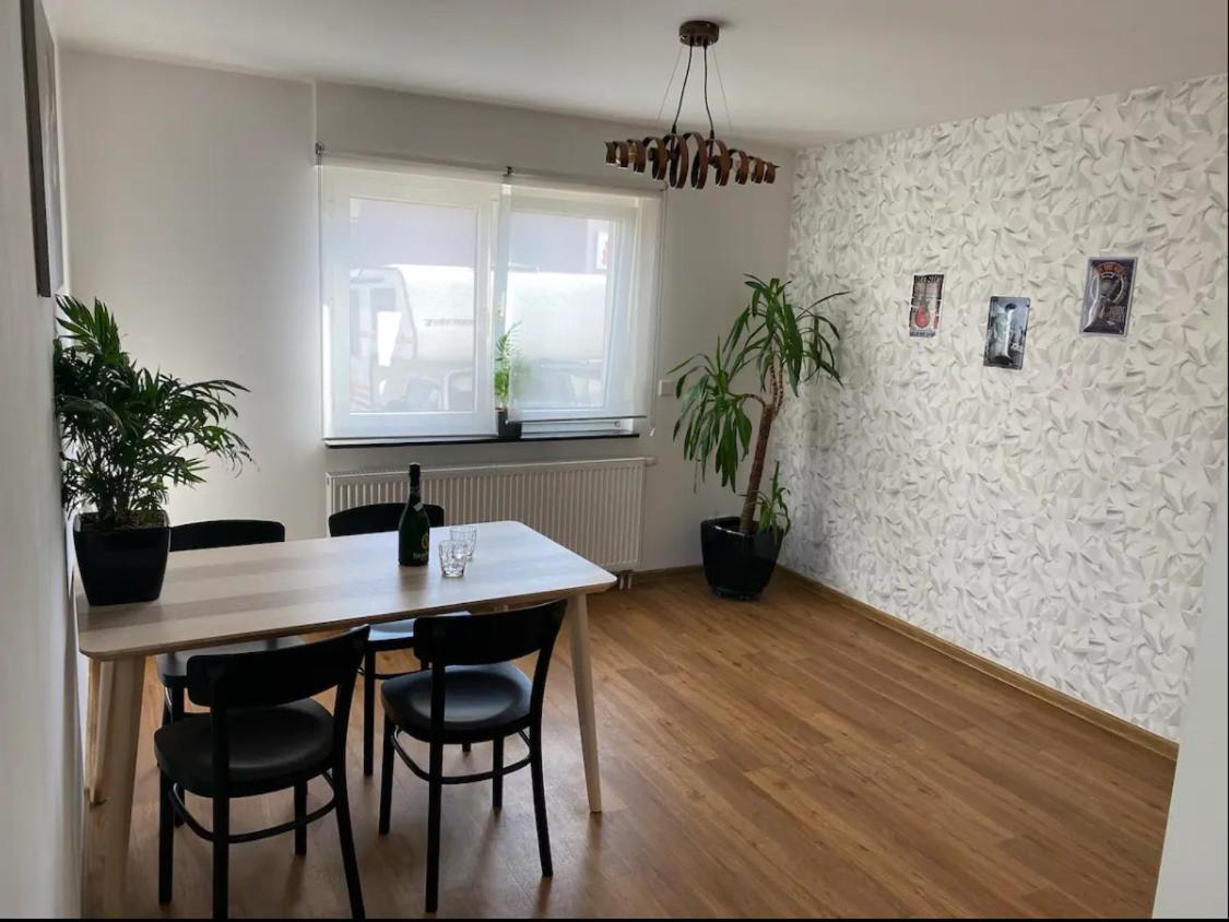 Apartment Roomy Comfort - Zwischen Heidelberg Und Mannheim 에딘겐넥카르하우젠 외부 사진