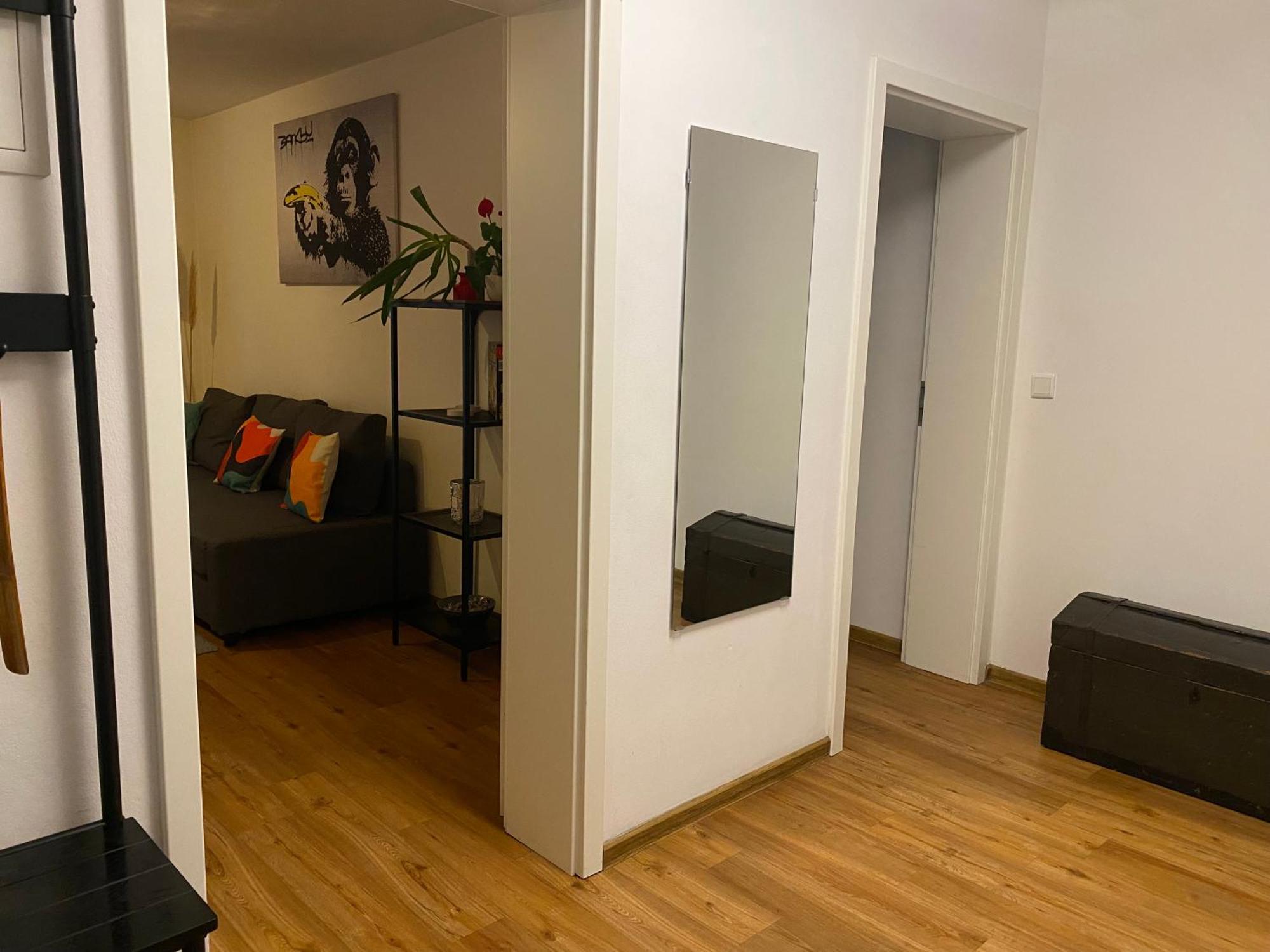 Apartment Roomy Comfort - Zwischen Heidelberg Und Mannheim 에딘겐넥카르하우젠 외부 사진