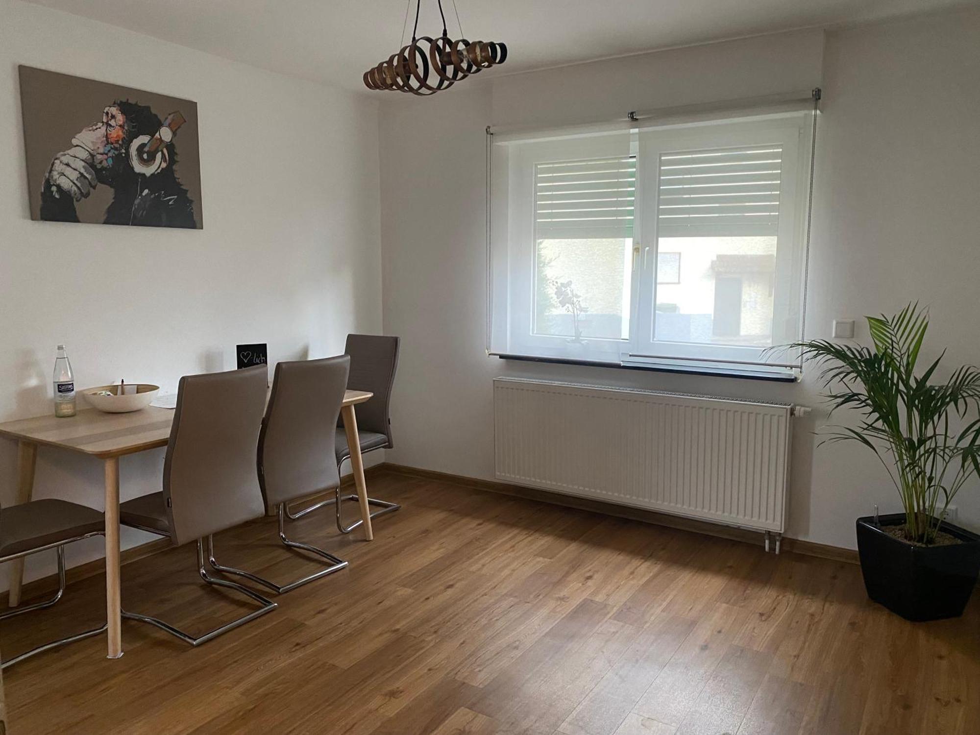 Apartment Roomy Comfort - Zwischen Heidelberg Und Mannheim 에딘겐넥카르하우젠 외부 사진