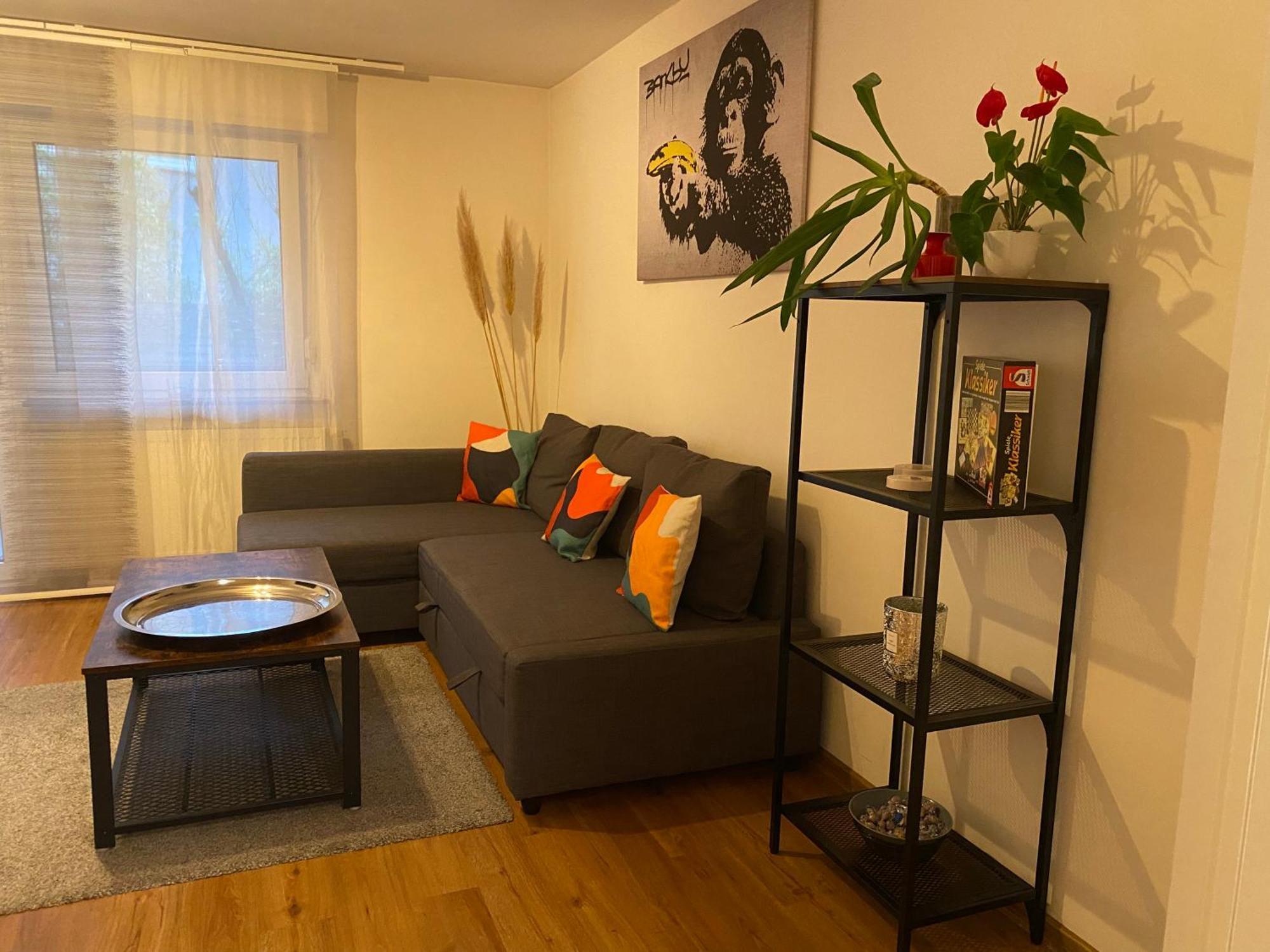 Apartment Roomy Comfort - Zwischen Heidelberg Und Mannheim 에딘겐넥카르하우젠 외부 사진